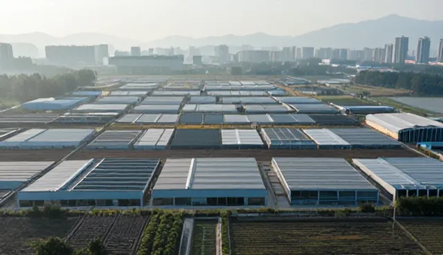 冷链运输与常温运输:性能差异与适用场景对比